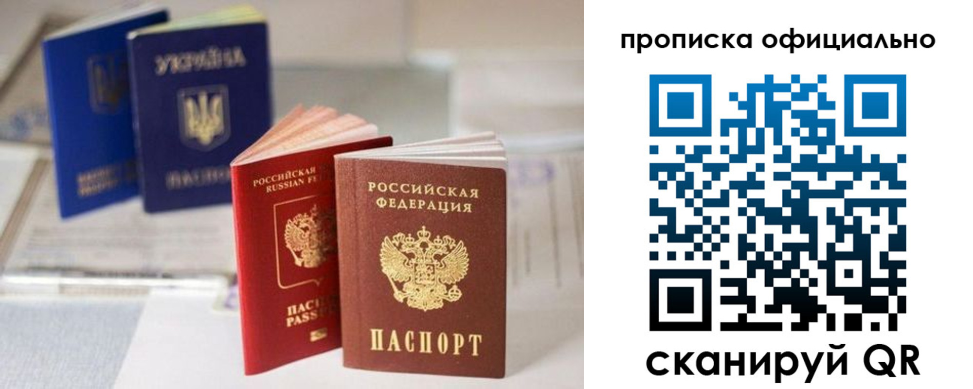 прописка поиск в Кингисеппе
